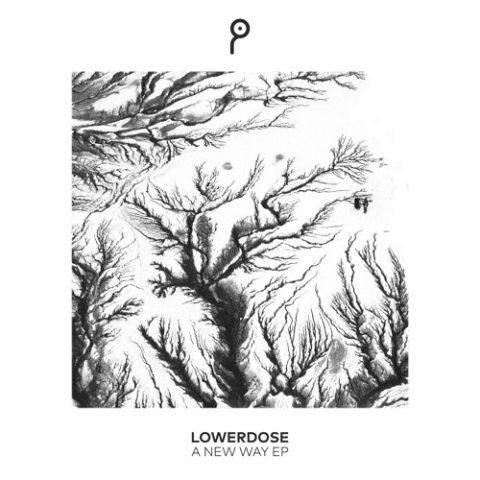 Lowerdose: a friendship turned into Music